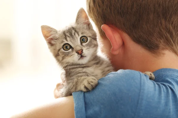 Niño con gatito en casa —  Fotos de Stock
