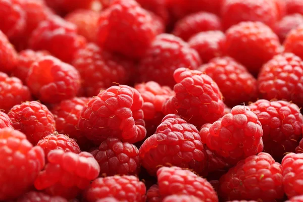 Red raspberries background Stock Photo