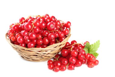 sepet içinde kırmızı kuş üzümü