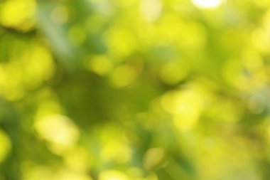 Soyut yeşil arkaplan