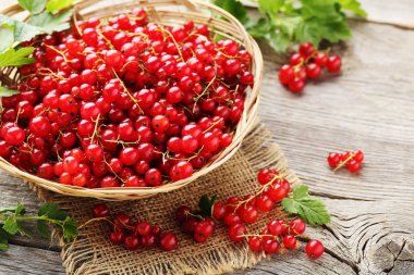 sepet içinde kırmızı kuş üzümü