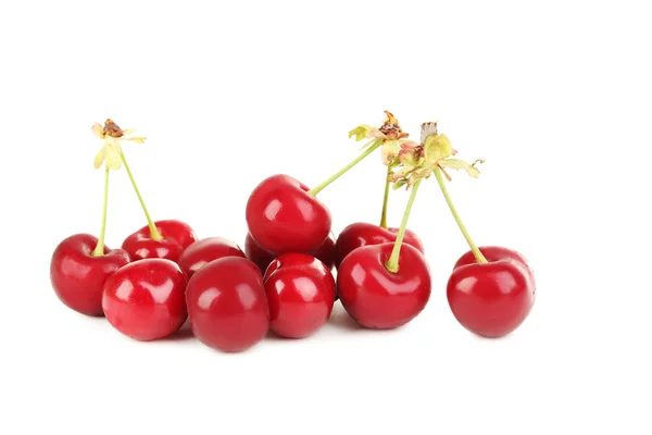 Cerises douces mûres — Photo