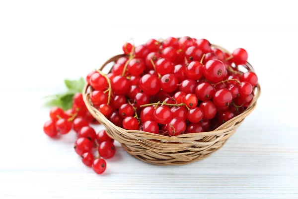 Rote Johannisbeeren im Korb — Stockfoto