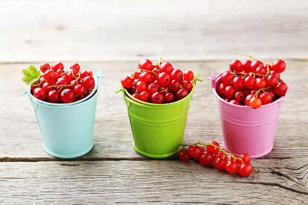 Rote Johannisbeeren im Eimer — Stockfoto