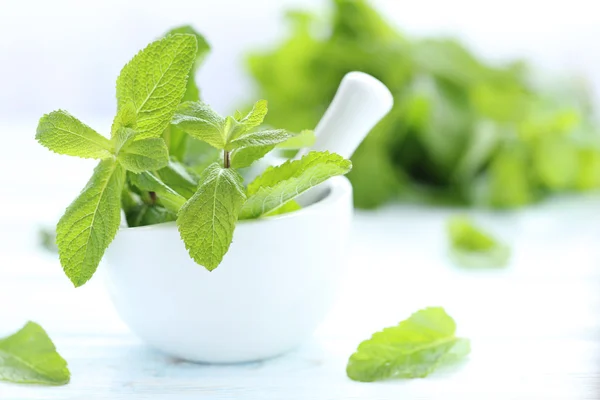 Daun mint segar — Stok Foto