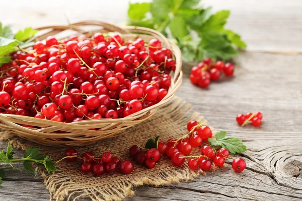 Rote Johannisbeeren im Korb — Stockfoto