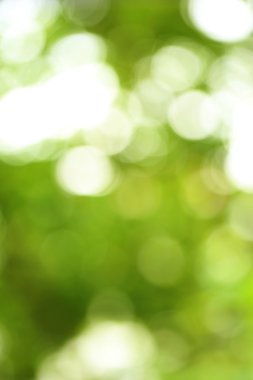 Soyut bokeh arkaplanı