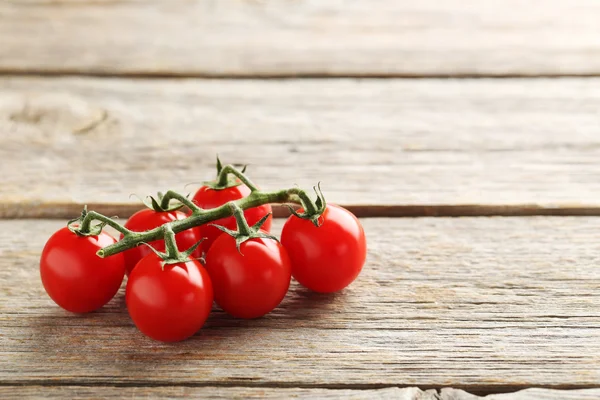 Cherry tomatoes branch — Stock Photo, Image