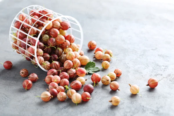 Uva spina frutta sul tavolo — Foto Stock