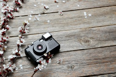 Ağaç dalları ve fotoğraf makinesi