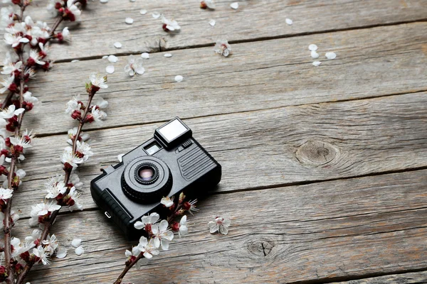 Tree branches and photo camera — Stock Photo, Image