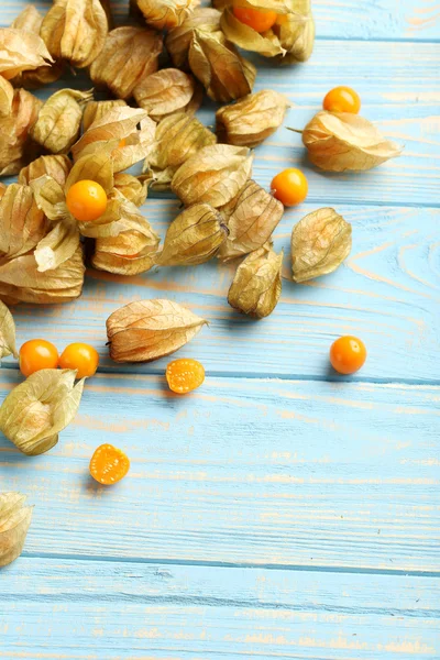 Semillas maduras de physalis — Foto de Stock