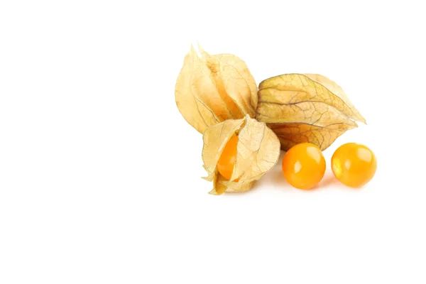 Érett physalis halom — Stock Fotó