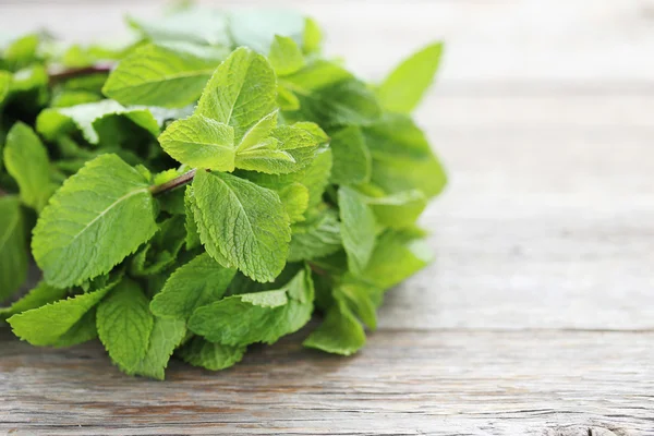 Hojas de menta fresca — Foto de Stock