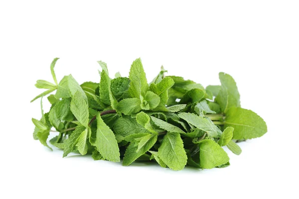 Daun mint segar — Stok Foto