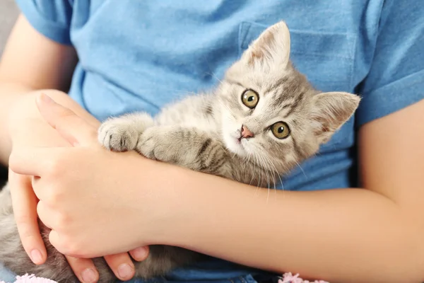 Niño con gatito —  Fotos de Stock