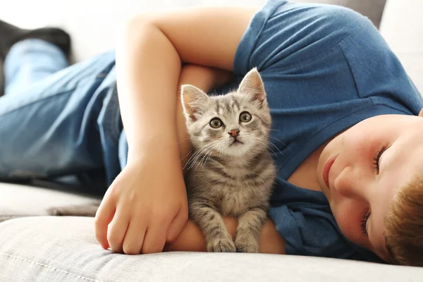 Kleiner Junge mit Kätzchen — Stockfoto