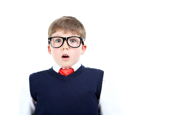 Portret van school jongen — Stockfoto