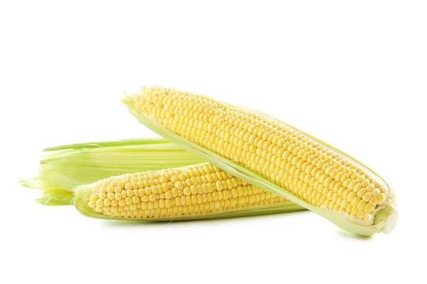 Three corn cobs — Stock Photo, Image