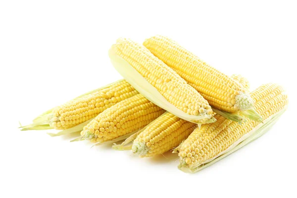 Sweet corn cobs — Stock Photo, Image