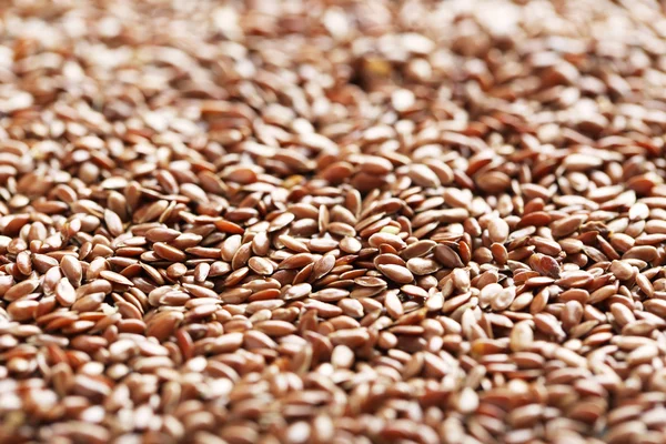 Brown flax seeds — Stock Photo, Image