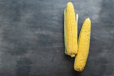 İki mısır koçanı