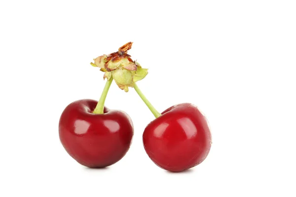 Fresh ripe cherries — Stock Photo, Image