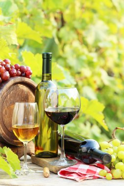 farklı şarap grubu