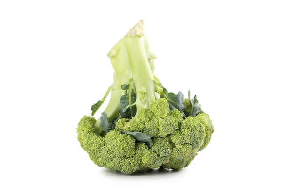 Świeże brokuły na biały — Zdjęcie stockowe
