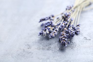 Bir demet lavanta çiçeği. 