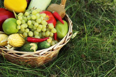 meyve ve sebze sepeti 