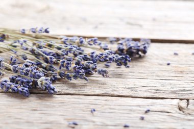 Bir demet lavanta çiçeği. 