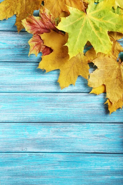 Herfstbladeren op tafel — Stockfoto