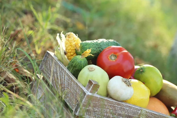 Groenten en fruit in krat — Stockfoto