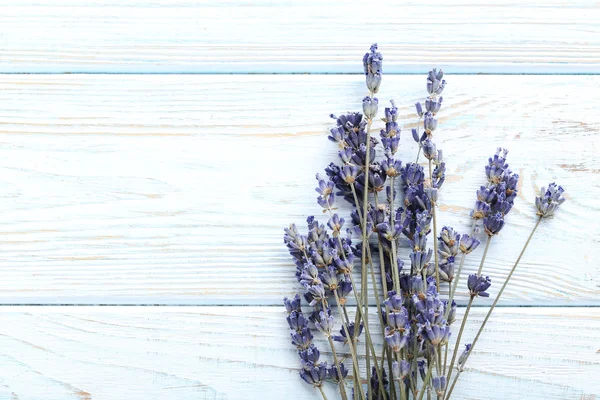 Bouquet de fleurs de lavande — Photo