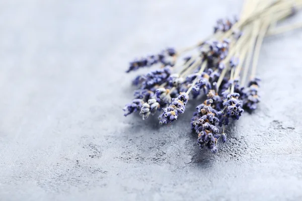 Bunch of lavender flowers — Stock Photo, Image