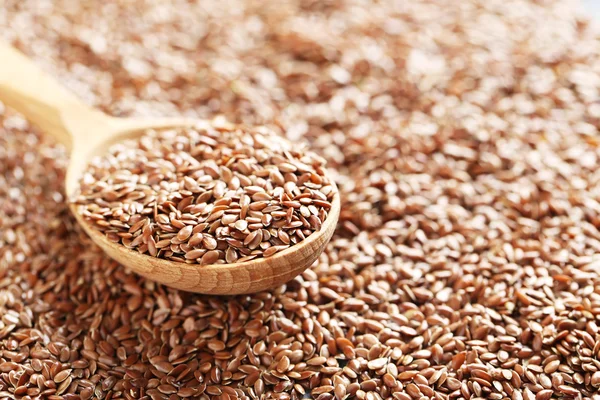 Brown flax seeds — Stock Photo, Image