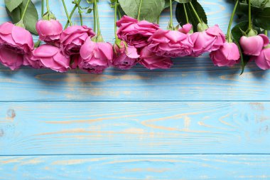 Güzel pembe güller 