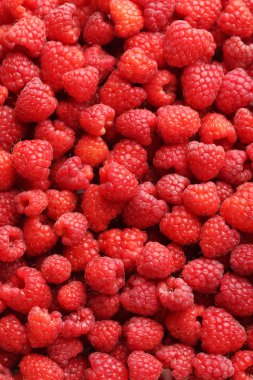 Olgun Kırmızı Ahududu 