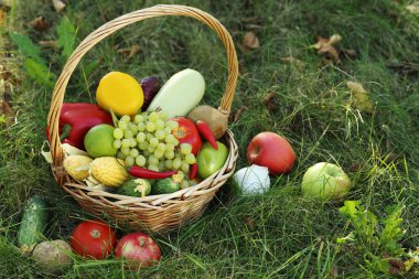 Olgun ve lezzetli meyve ve sebze 