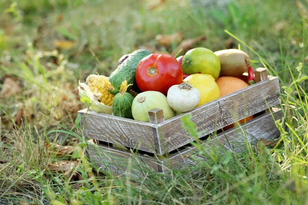 Reife und schmackhafte Früchte und Gemüse — Stockfoto