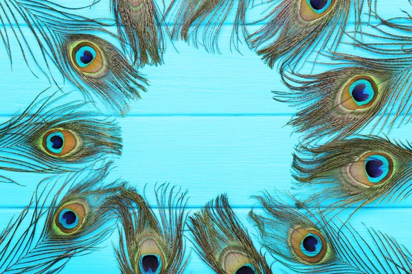 Peacock feathers on blue wooden table