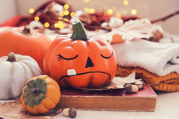 Halloween Kürbisse Mit Eicheln Buch Trockenen Blättern Und Gestrickten Pullovern — Stockfoto