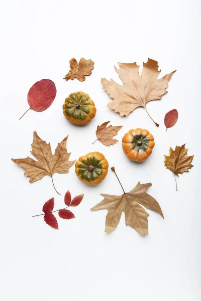 Autumn Pumpkins Dry Leafs White Background — Stock Photo, Image