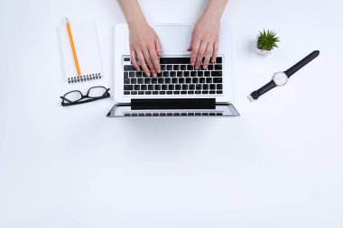 Not defteri, saati ve beyaz arka planda yeşil bitkisi olan bir kadın dizüstü bilgisayarda çalışıyor.