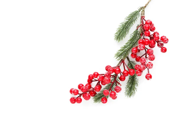 Weihnachtskomposition Tannenzweige Mit Roten Beeren Auf Weißem Hintergrund — Stockfoto