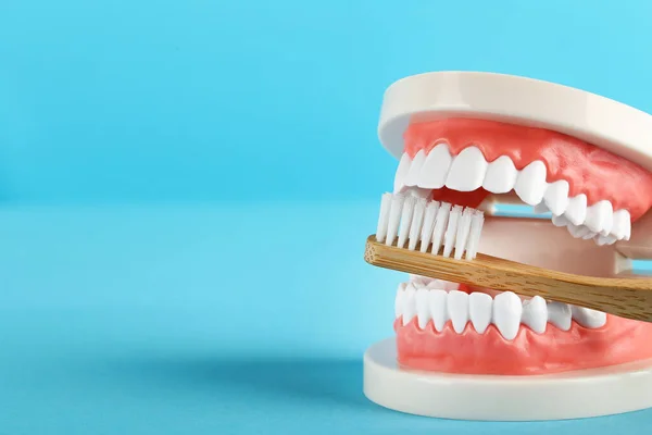 Modelo Dientes Con Cepillo Dientes Sobre Fondo Azul —  Fotos de Stock