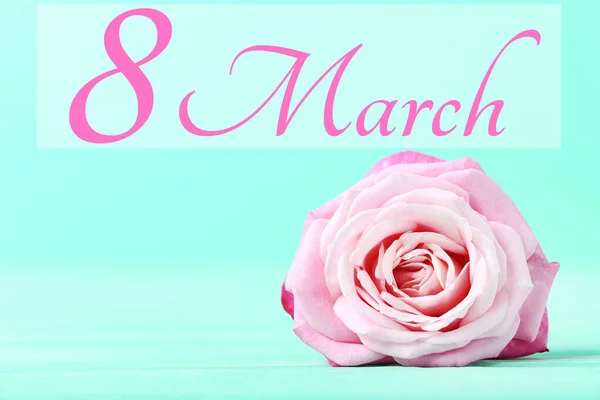 Beautiful Pink Rose Text March Green Background — Φωτογραφία Αρχείου
