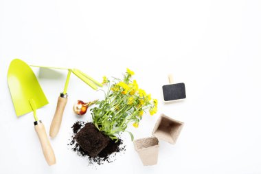 Beyaz arkaplanda bahçe araçları ve sarı çiçekler