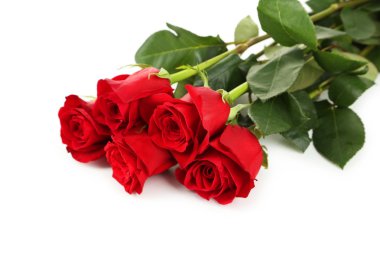 Beş taze kırmızı güller